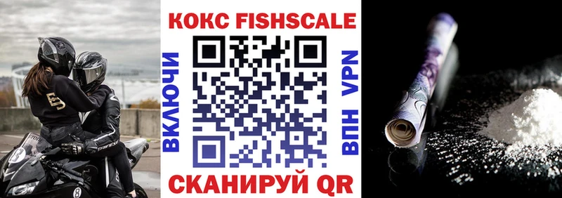 это формула  где можно купить   Белово  COCAIN Fish Scale 
