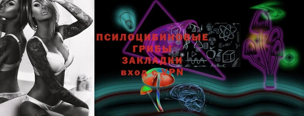 гидра Баксан