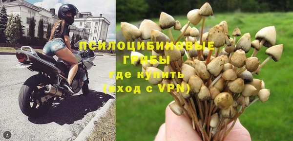 гидра Баксан