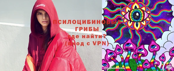 гидра Баксан