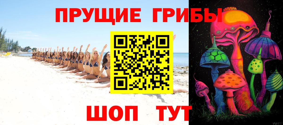 Псилоцибиновые грибы MAGIC MUSHROOMS Белово