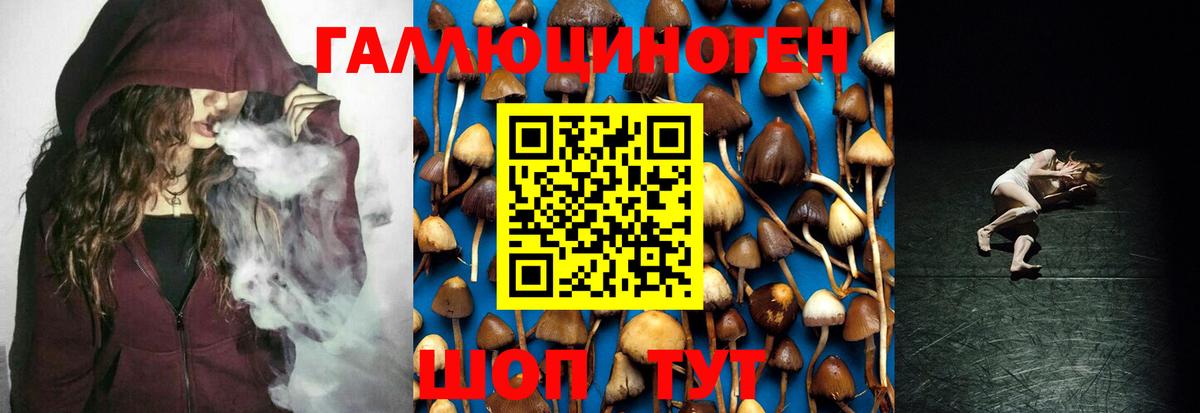 Псилоцибиновые грибы Psilocybine cubensis Белово